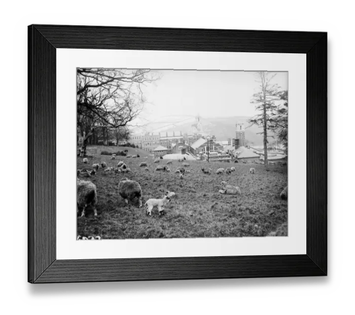 Framed Print : Spring Time Framed Print : Spring Time