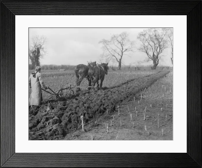 Framed Print : Tilling The Soil