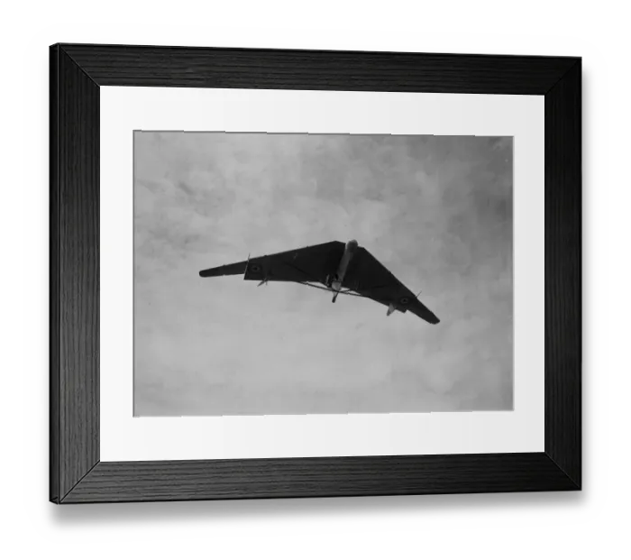 Framed Print : Pterodactyl Plane Framed Print : Pterodactyl Plane