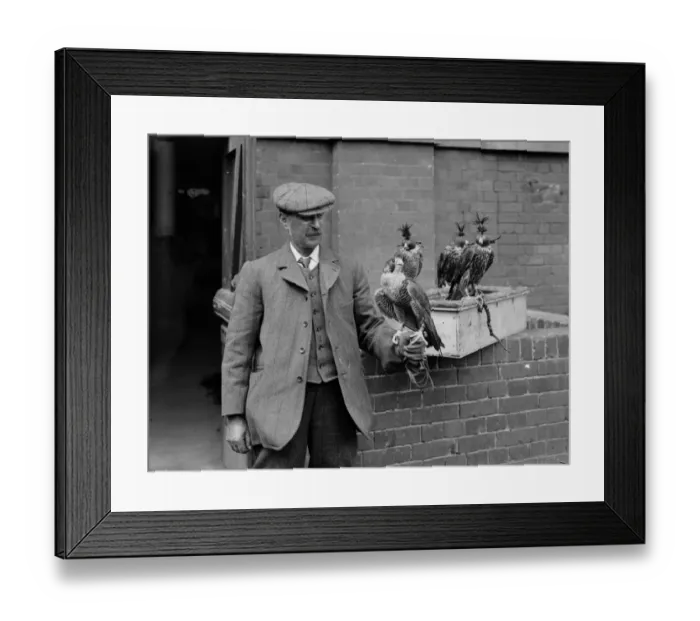 Framed Print : Bird Fancier Framed Print : Bird Fancier