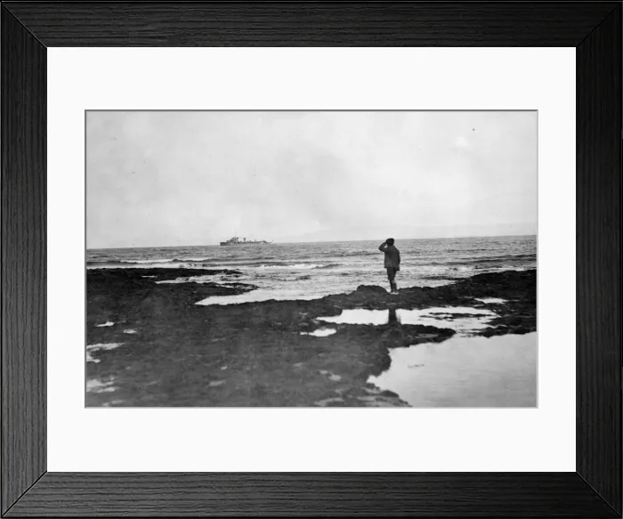 Framed Print : Sea Landing Framed Print : Sea Landing