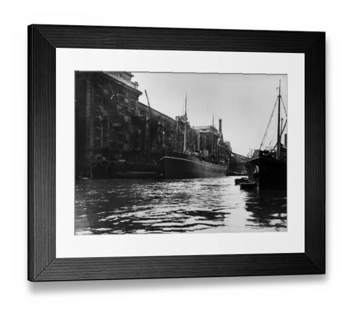Framed Print : SS Albatross