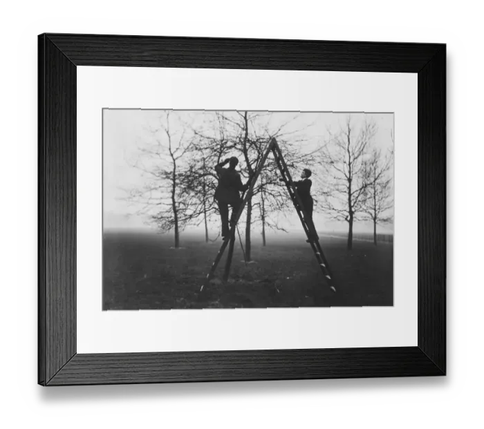 Framed Print : Cocoon Collecting Framed Print : Cocoon Collecting