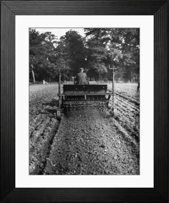 Framed Print : Cultivator Framed Print : Cultivator