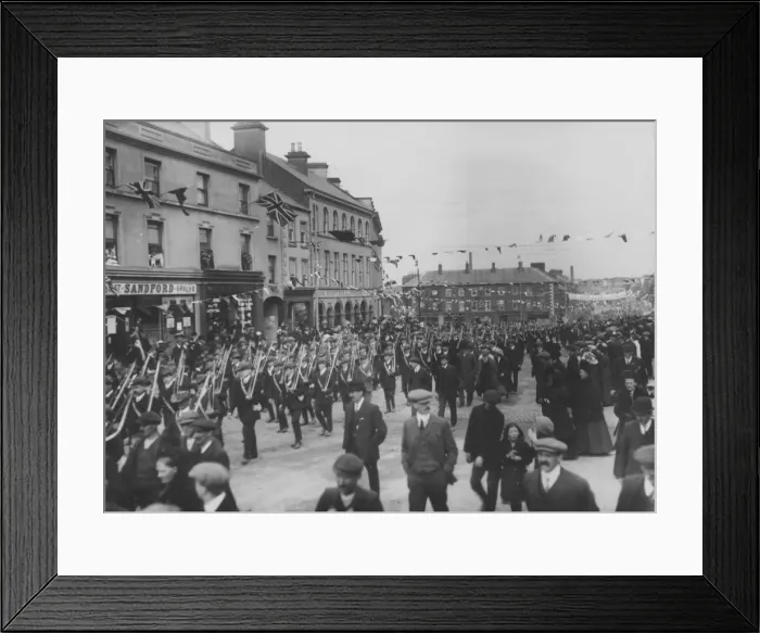Framed Print : Anti Home Rule Framed Print : Anti Home Rule