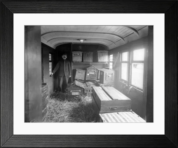 Framed Print : Kennel Train Framed Print : Kennel Train