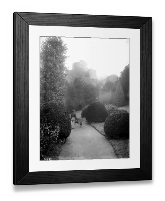 Framed Print : Cornish Garden Framed Print : Cornish Garden
