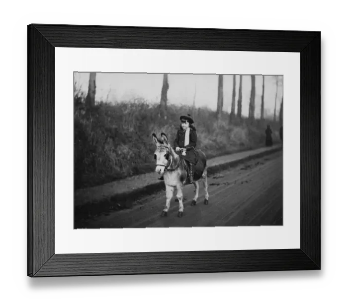 Framed Print : Girl On A Donkey Framed Print : Girl On A Donkey