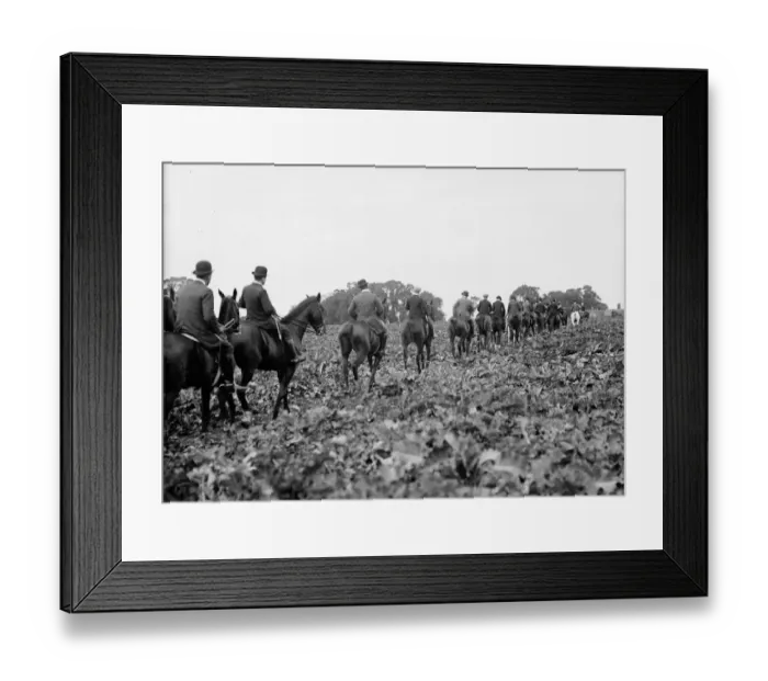 Framed Print : Harriers Riding Framed Print : Harriers Riding