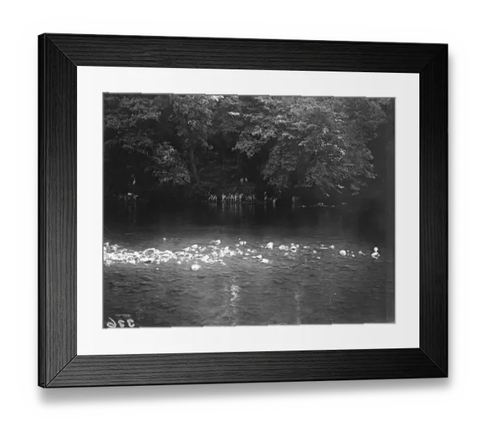 Framed Print : Otter Hounds Framed Print : Otter Hounds