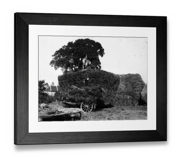 Framed Print : Loaded Cart Framed Print : Loaded Cart