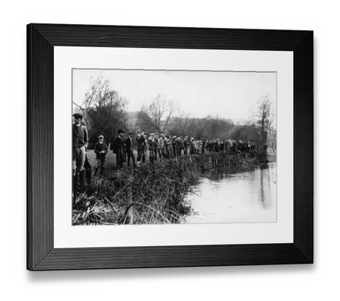 Framed Print : Spectator Sport Framed Print : Spectator Sport