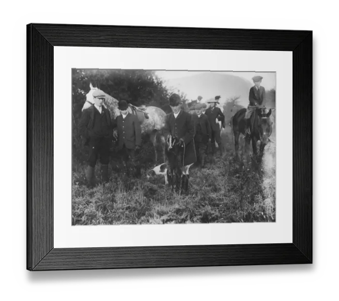 Framed Print : Badger Hunting Framed Print : Badger Hunting