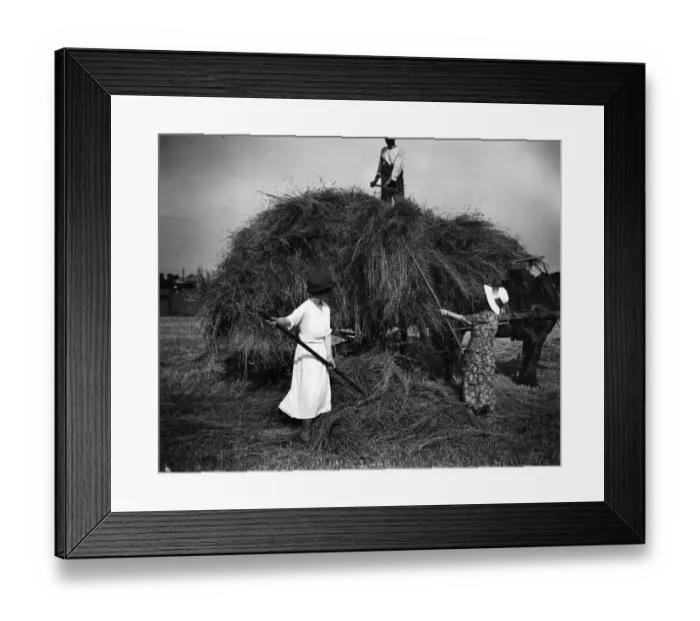 Framed Print : Hay Making Framed Print : Hay Making