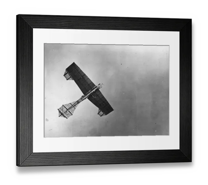Framed Print : Antoinette XIII Framed Print : Antoinette XIII