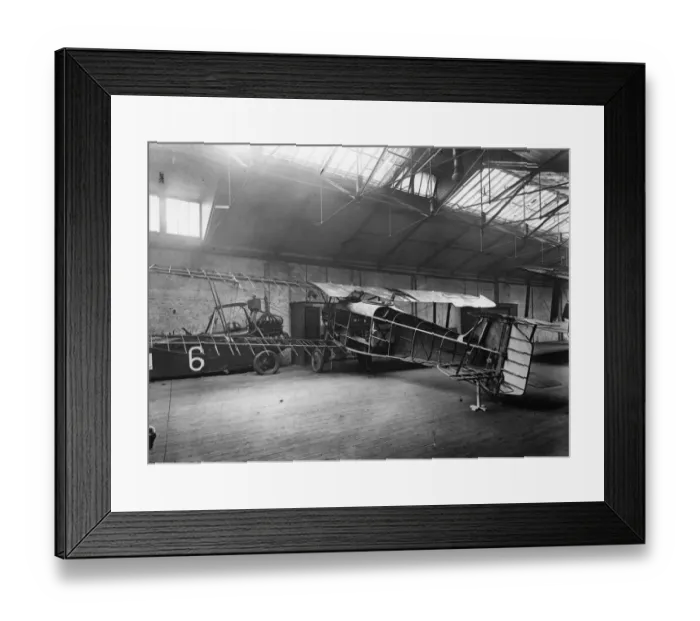 Framed Print : Hanoveraner Framed Print : Hanoveraner
