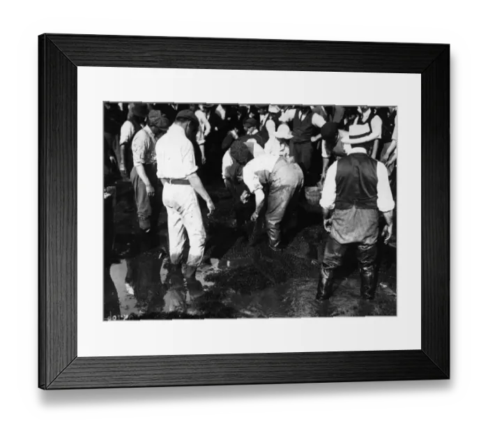 Framed Print : Emptying Nets Framed Print : Emptying Nets