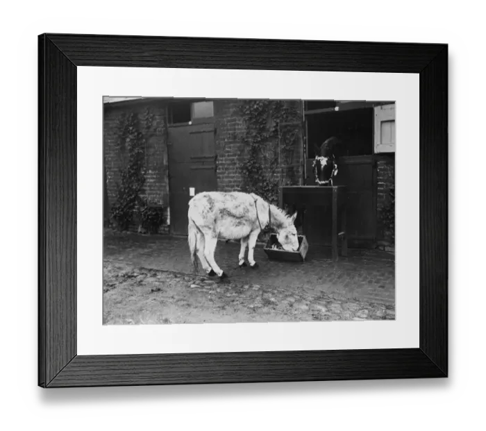 Framed Print : New Year Diners Framed Print : New Year Diners