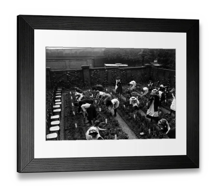 Framed Print : Child Gardeners Framed Print : Child Gardeners