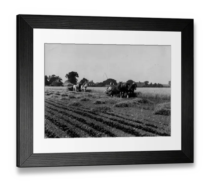 Framed Print : McCorman Reapers Framed Print : McCorman Reapers