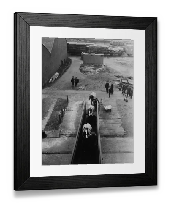 Framed Print : Travelling Ponies Framed Print : Travelling Ponies