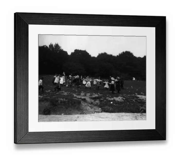 Framed Print : Ring-A-Ring Of Roses Framed Print : Ring-A-Ring Of Roses