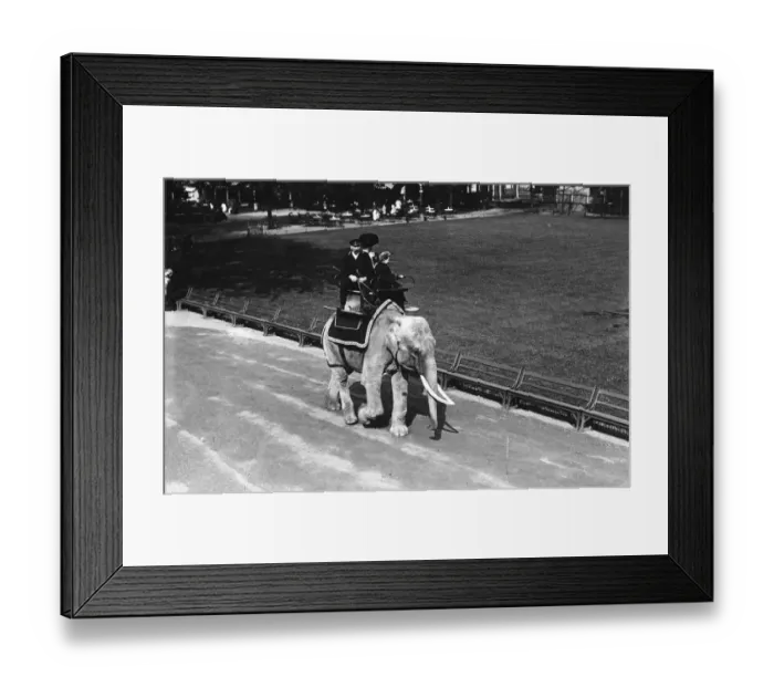 Framed Print : Elephant Ride Framed Print : Elephant Ride