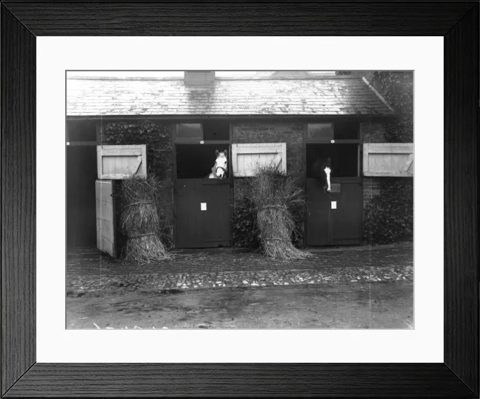 Framed Print : Rest Home For Horses Framed Print : Rest Home For Horses