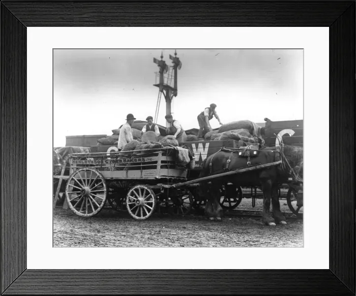 Framed Print : Loading Up Apples Framed Print : Loading Up Apples