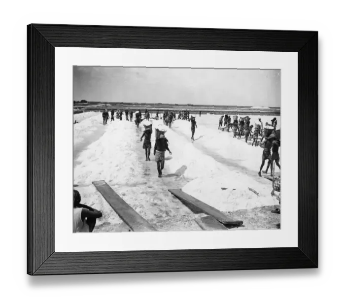 Framed Print : Salt Collecting Framed Print : Salt Collecting