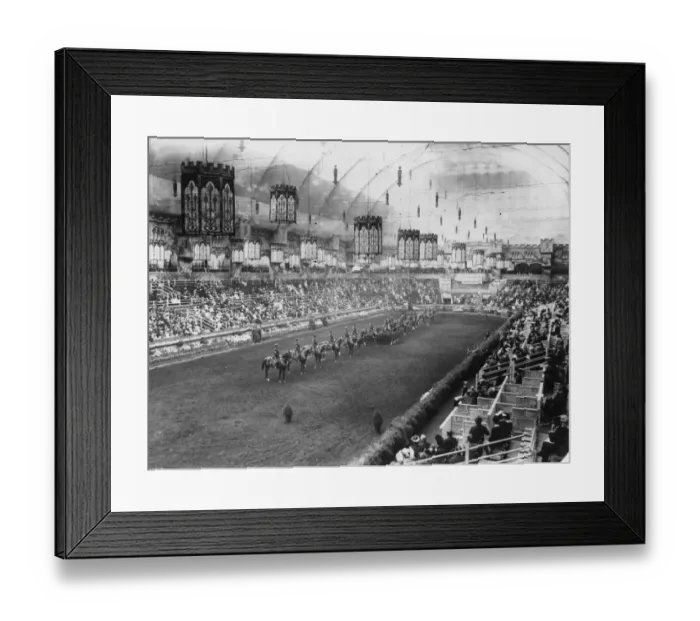 Framed Print : Horse Show Framed Print : Horse Show