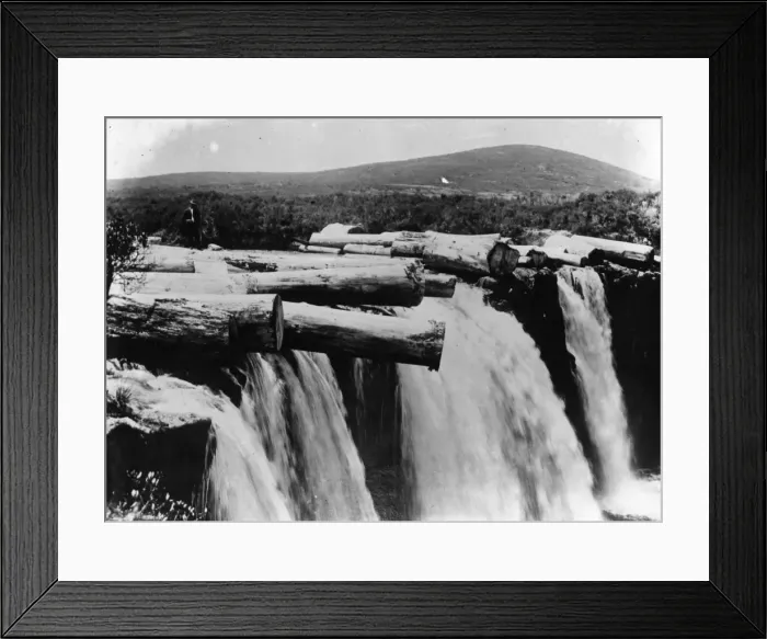 Framed Print : Floating Timber Framed Print : Floating Timber