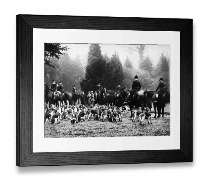 Framed Print : The Meet. 10th November 1905: The Atherstone hounds at Brownsover Framed Print : The Meet. 10th November 1905: The Atherstone hounds at Brownsover