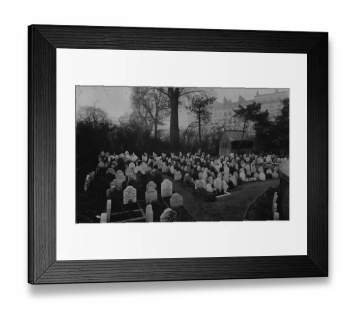 Framed Print : Dog Cemetery Framed Print : Dog Cemetery