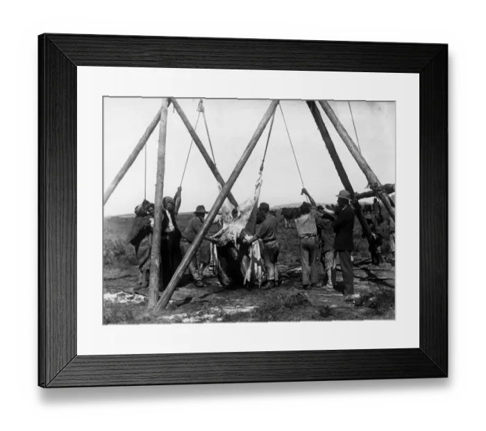 Framed Print : Meat Supply Framed Print : Meat Supply