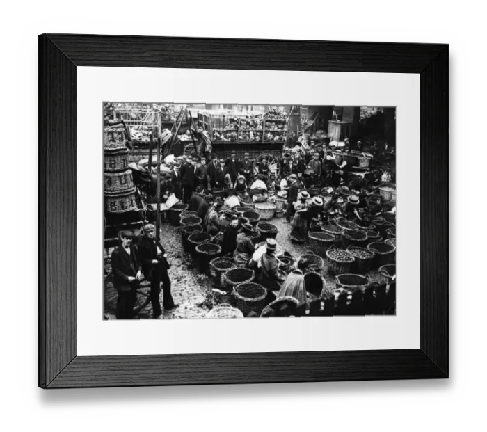 Framed Print : Walnut Picking Framed Print : Walnut Picking