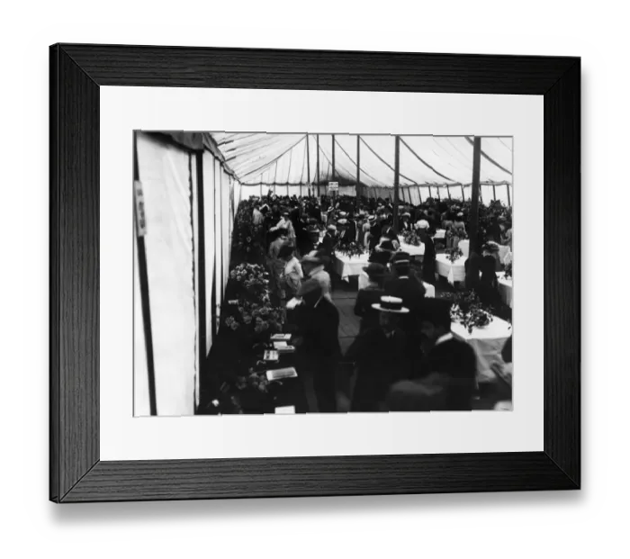 Framed Print : National Rose Show Framed Print : National Rose Show