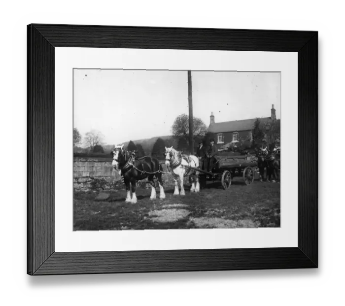 Framed Print : Horse And Cart