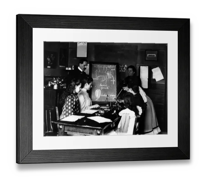 Framed Print : Botany Class Framed Print : Botany Class