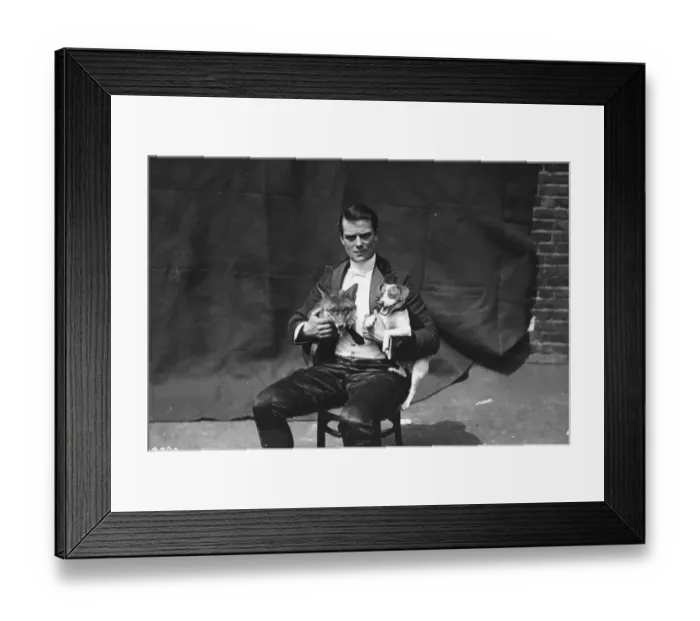 Framed Print : Fox And Hound Framed Print : Fox And Hound
