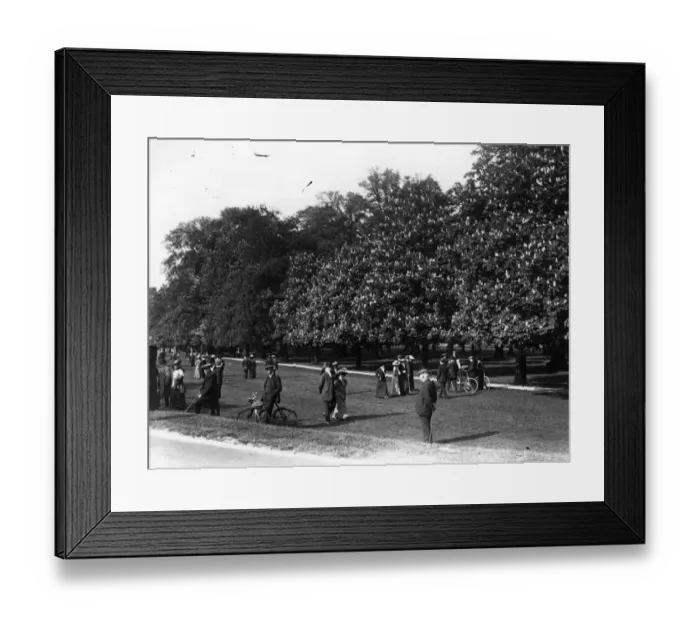 Framed Print : In The Park Framed Print : In The Park