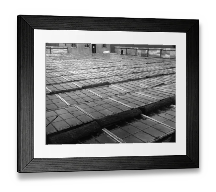 Framed Print : Glasshouses Framed Print : Glasshouses
