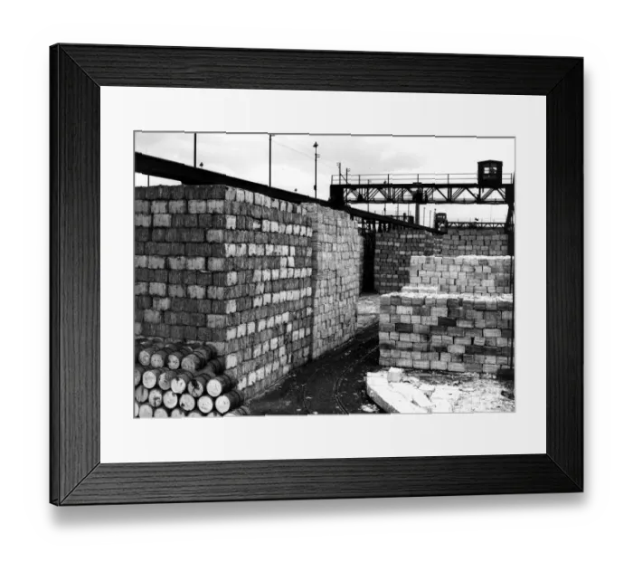 Framed Print : Wood For Paper Framed Print : Wood For Paper