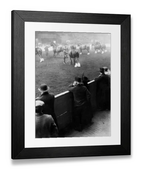 Framed Print : Burns At Horse Show Framed Print : Burns At Horse Show