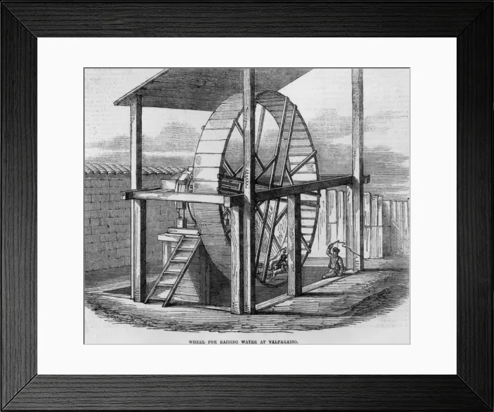 Framed Print : Four Dog-Power