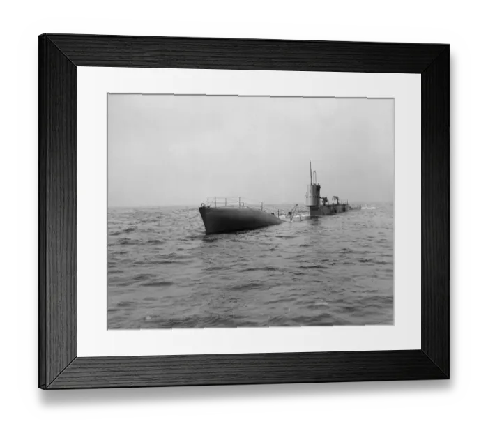 Framed Print : Preparing To Dive Framed Print : Preparing To Dive