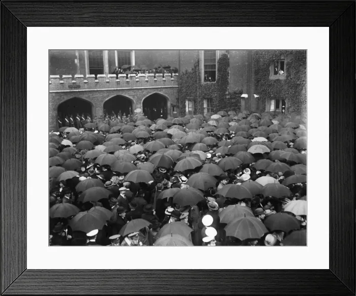 Framed Print : Peace Rally Framed Print : Peace Rally