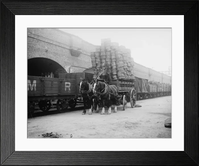 Framed Print : Top Heavy. 19th October 1918: A driver is perched high up above his horses Framed Print : Top Heavy. 19th October 1918: A driver is perched high up above his horses