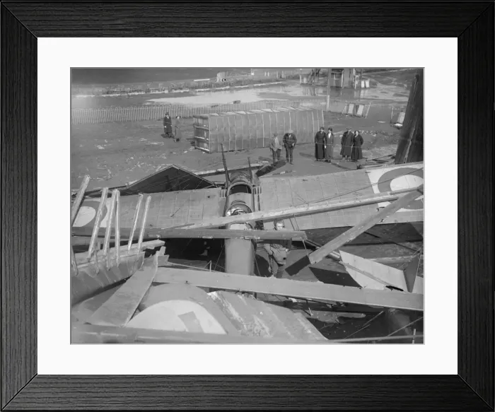 Framed Print : Gale Damage Framed Print : Gale Damage