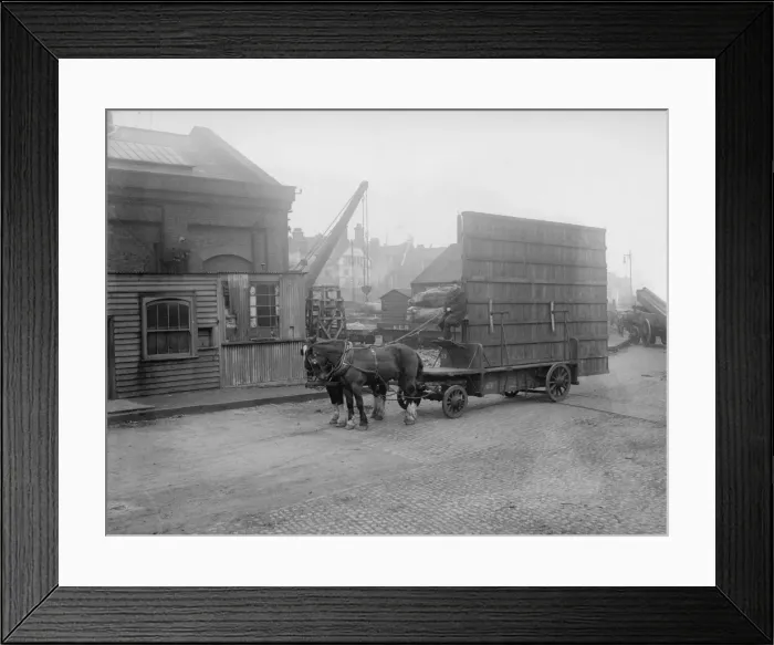 Framed Print : Careful Journey Framed Print : Careful Journey